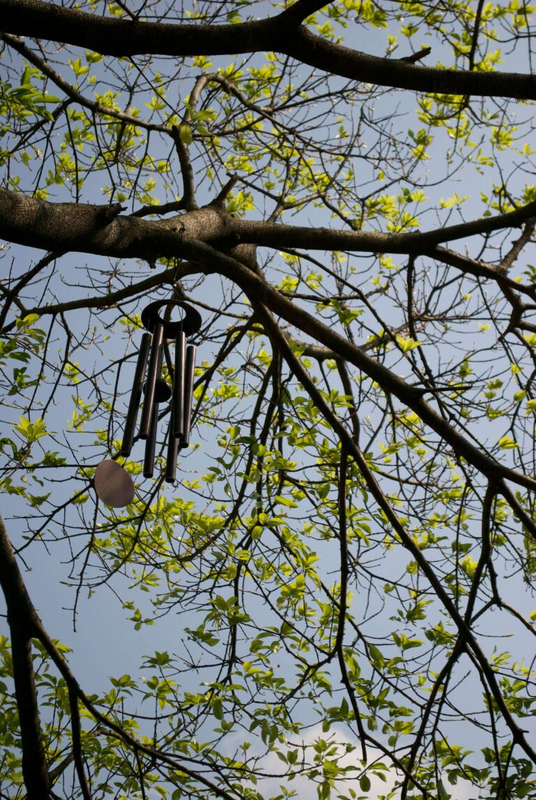 Small birds perched in a cozy backyard near soft wind chimes, creating a peaceful bird-friendly space