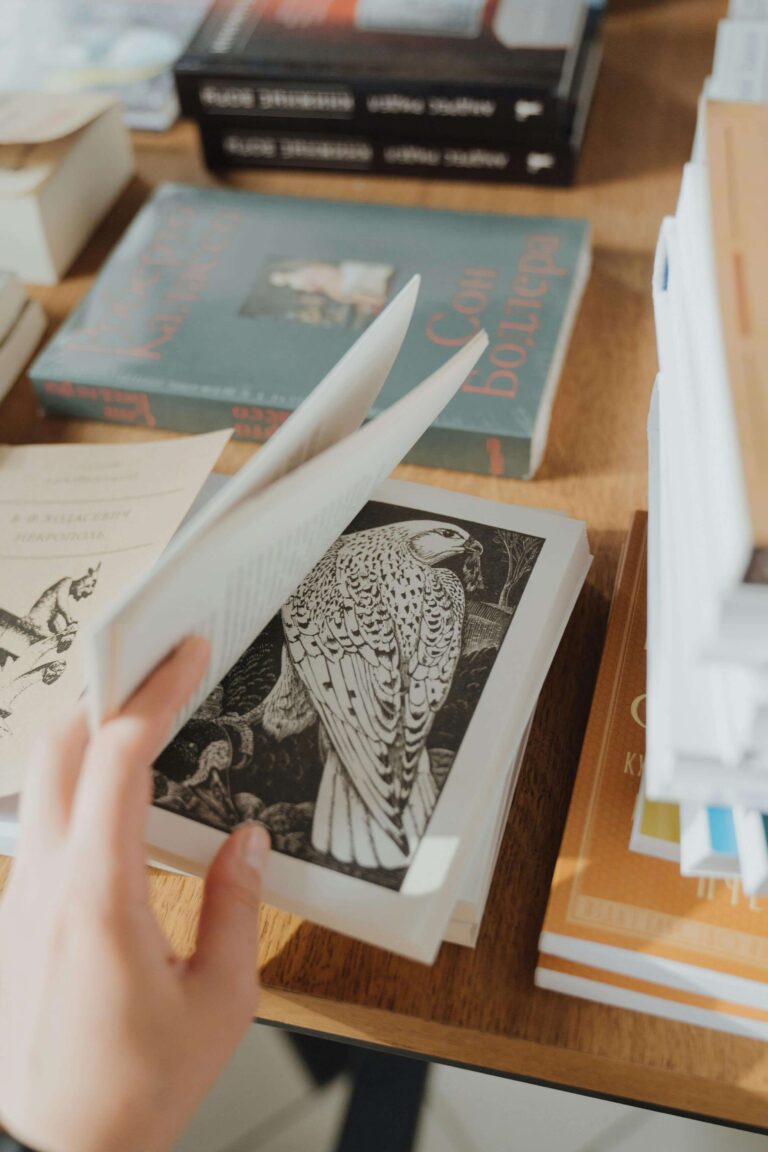 Bird Photography Books for Every Nature Lover’s Table