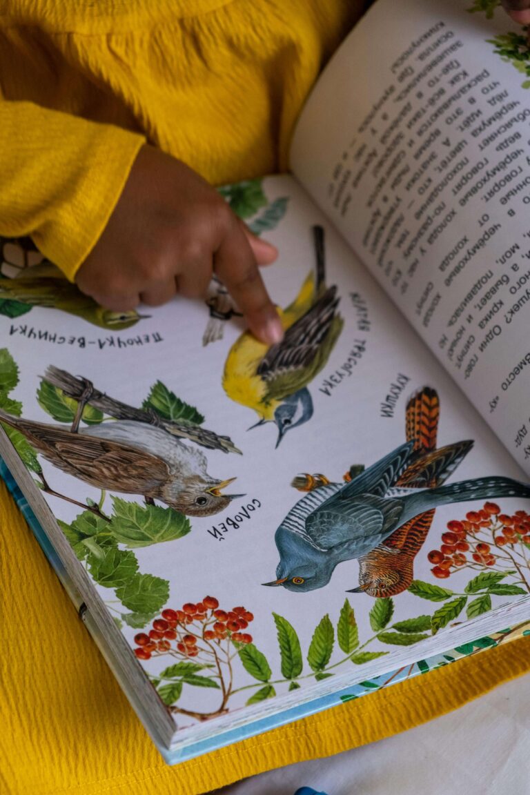 Birdwatching for Kids: Screen-Free Ways to Explore Nature