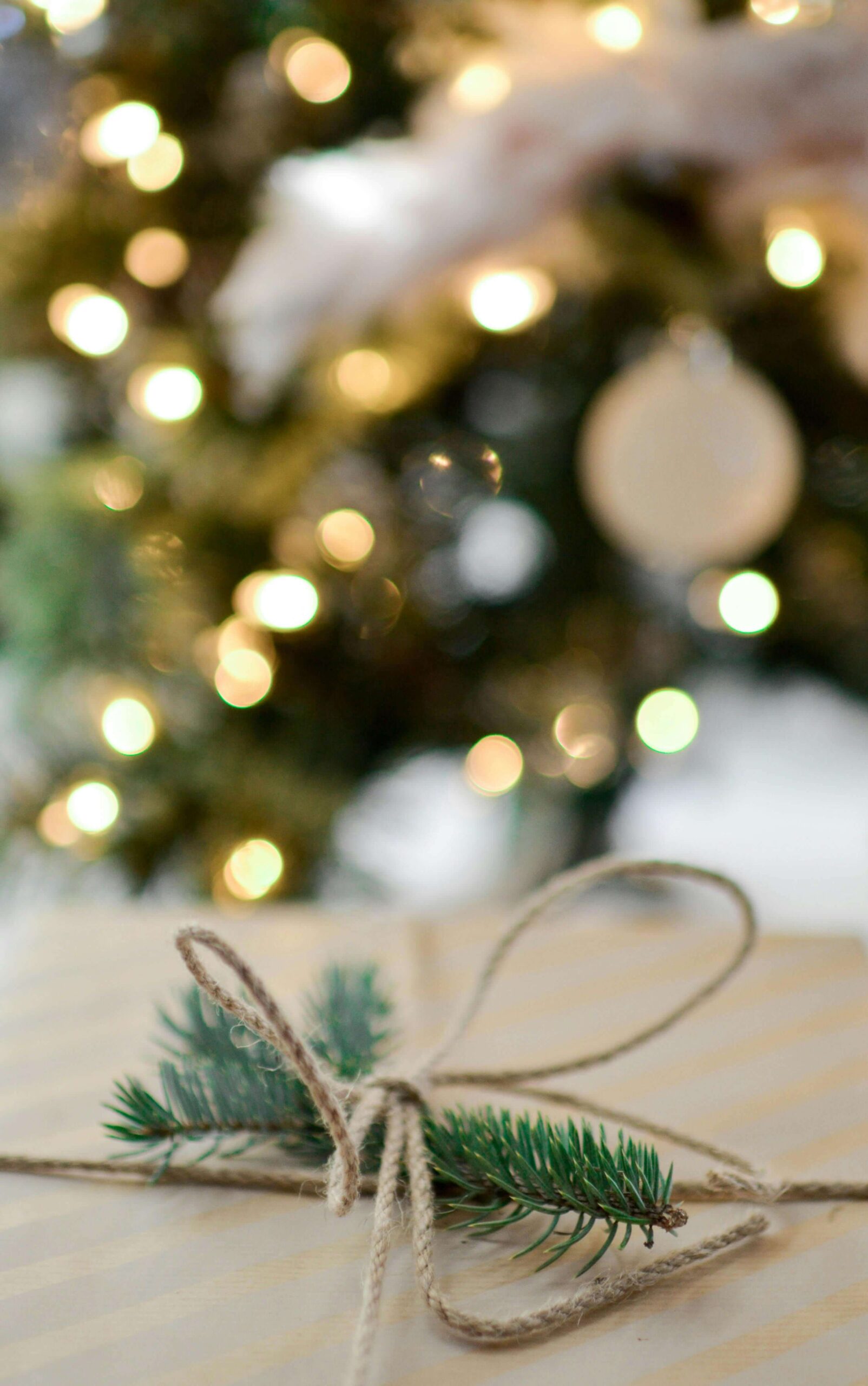 Eco-friendly gift wrapping using bird-print fabric
