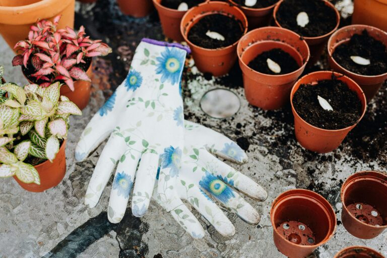 Container Gardening for Bird Habitats: Create a Cozy Patio