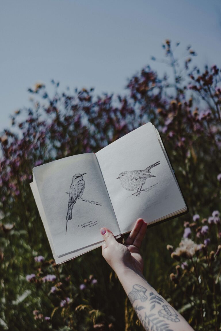 Cozy birdwatching journal open on a garden bench, surrounded by sketches
